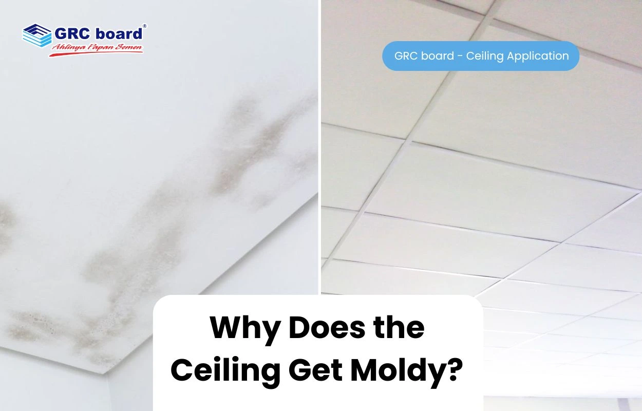 Why Does the Ceiling Get Moldy?